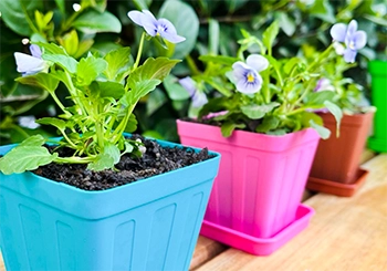 Colourful plastic plant pots
