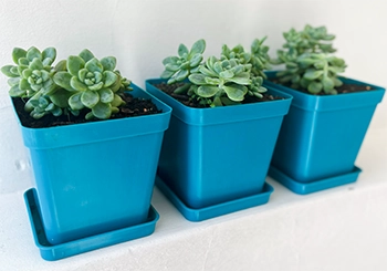 Square plastic flower pots